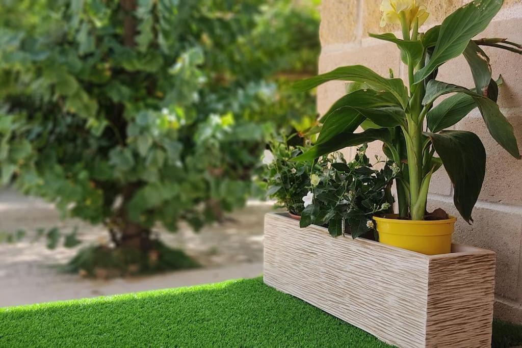 Finca El Pilar Madridejos Εξωτερικό φωτογραφία