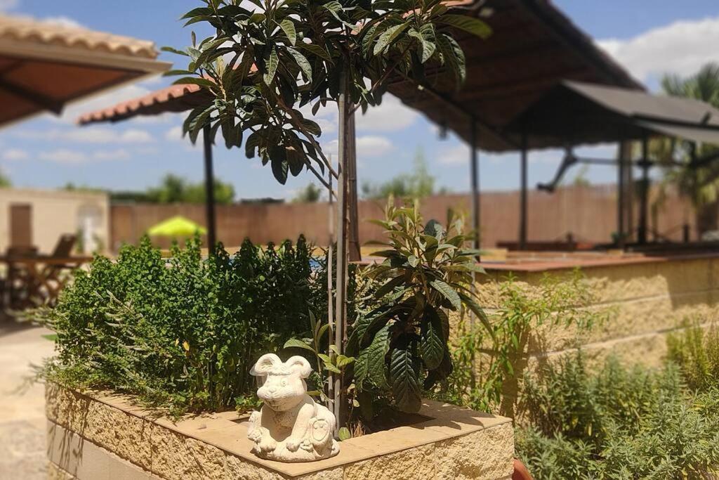 Finca El Pilar Madridejos Εξωτερικό φωτογραφία